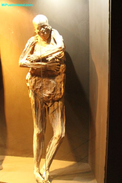 photos of mummy