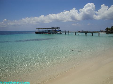 roatan mls