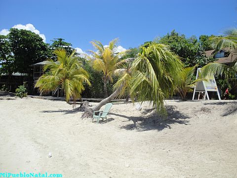 travel to roatan