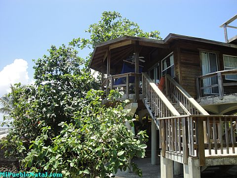 cocoview roatan