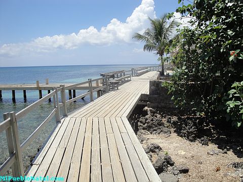 fosters roatan