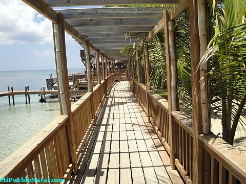 roatan travel