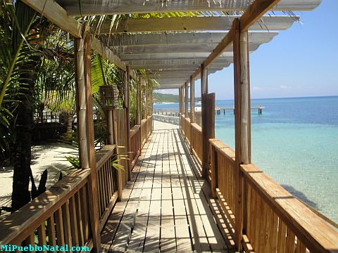 roatan cabanas