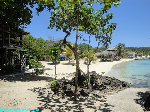 roatan online