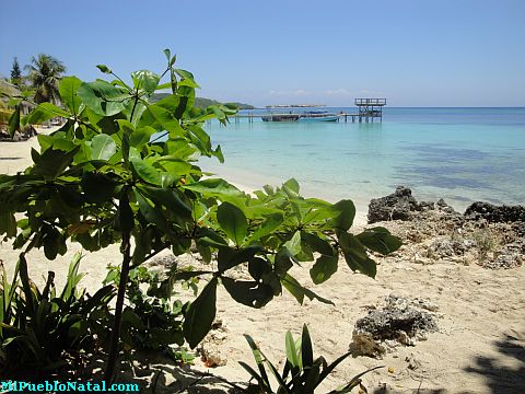 roatan review