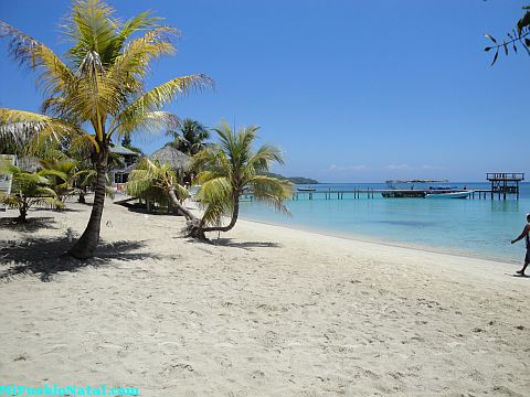 roatan things to do