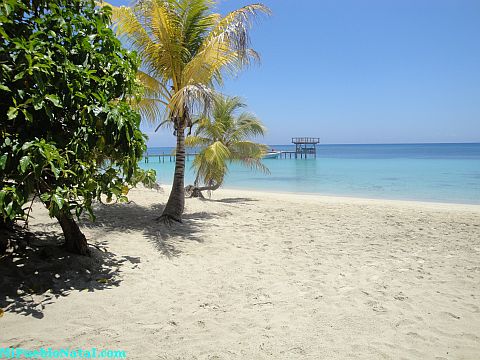 roatan music