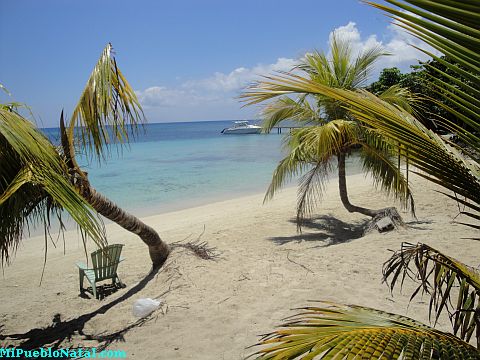 roatan food