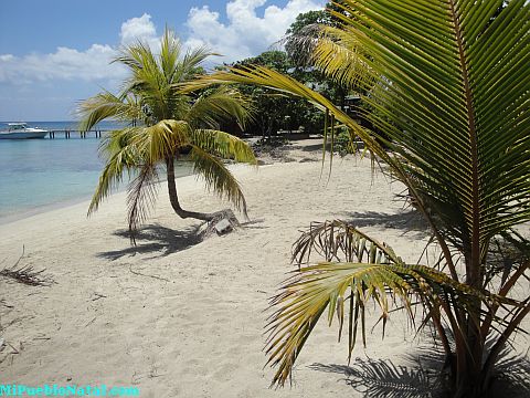 roatan activities