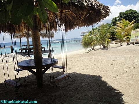 jolly roger roatan