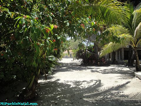 hotel roatan