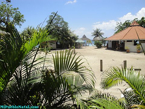 palmetto roatan