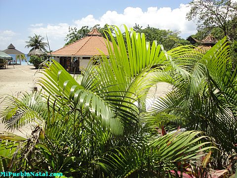 roatan restaurant