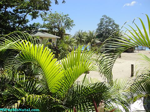 roatan golf