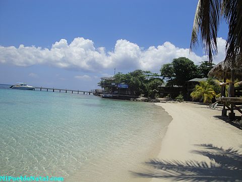 roatan hondurus