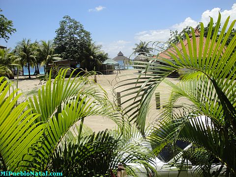 mahogany bay roatan