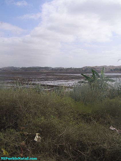 Pucusana Playa