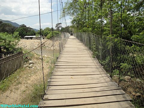 Taujica Honduras