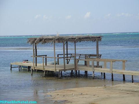 punta gorda houses