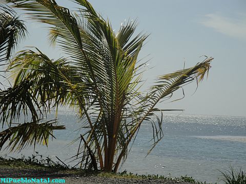 Punta Gorda Roatan