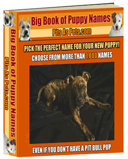 puppy names ebook