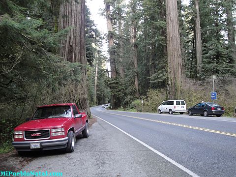 Redwood Highway