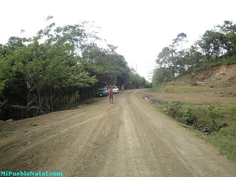 Taujica Honduras