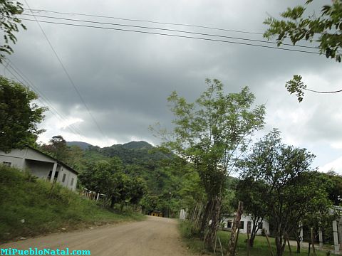 Fotografias de Taujica