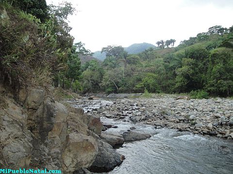 Fotos de Taujica