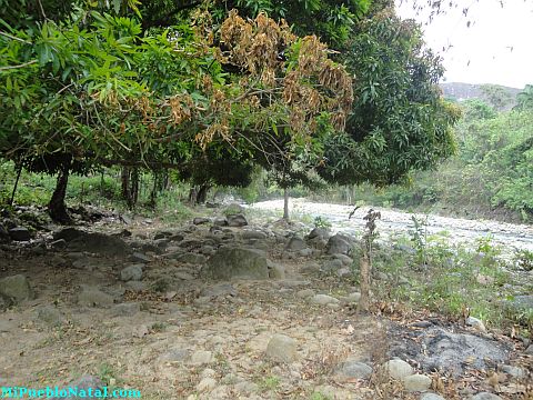 Taujica Honduras