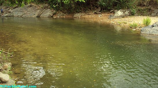 Taujica Honduras