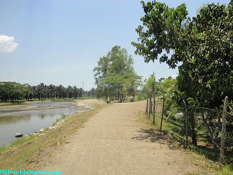 Tocoa rio