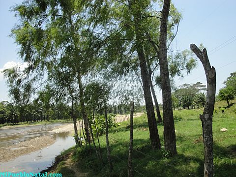 Tocoa rio