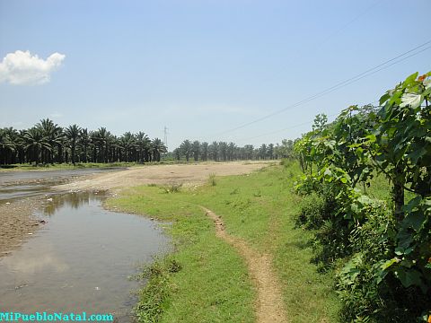 Tocoa rio