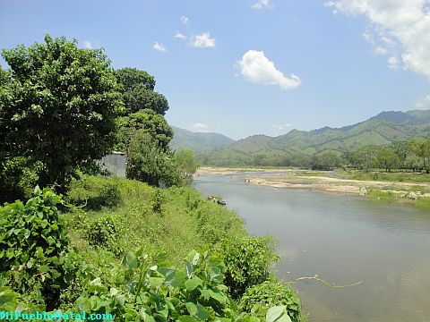 Tocoa rio