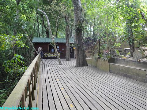 canopy tours Roatan