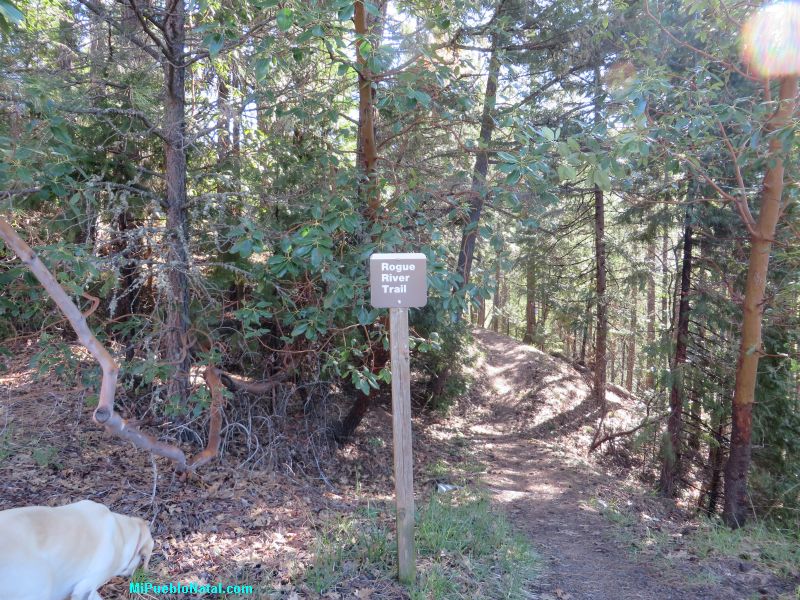 Rogue River Trail