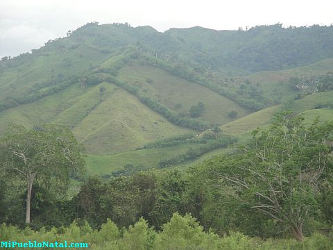 Tocoa rio