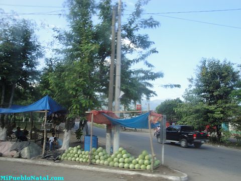 Saba