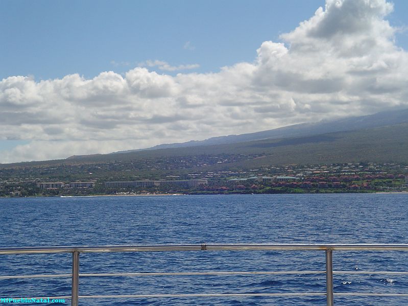 Shores of Maui