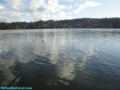 Siuslaw River