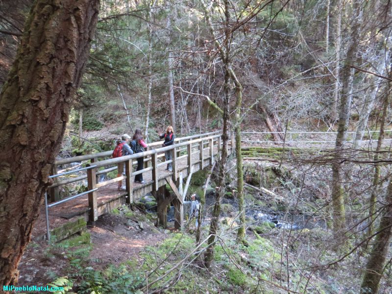 Small wooden bridge in-the woods