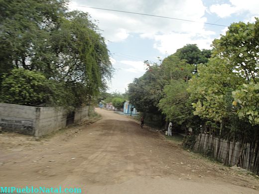 Taujica Honduras