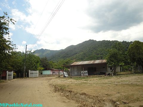 Taujica aldea