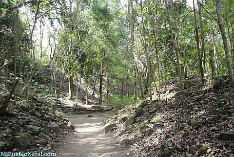 The Mayan Ruins