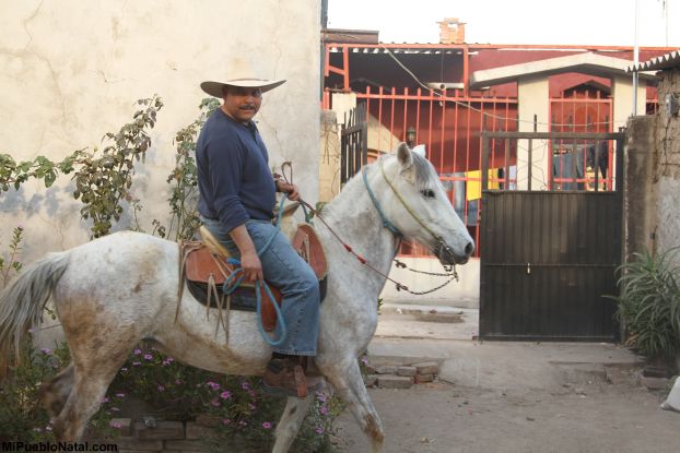 ton en caballo