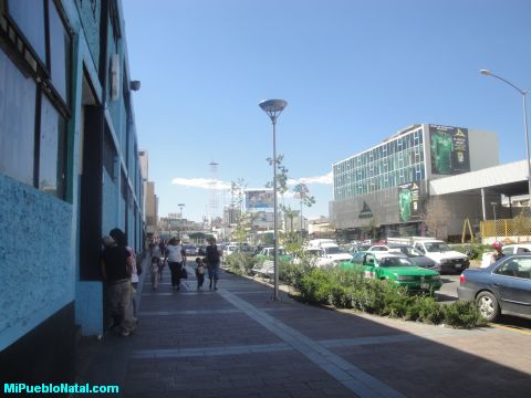 Calle principlaes de leo