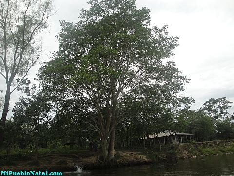 Rio Tocoa