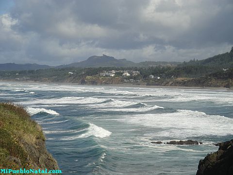 Near Yaquina Lighthouse