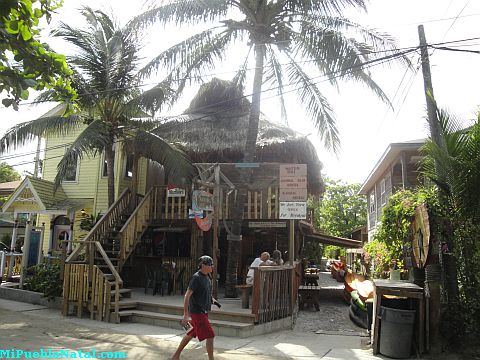 Cannibal Cafe Roatan